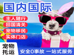 萨尔图航空货运国际宠物托运 【国
